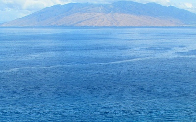 Maui Fishing