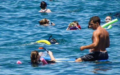 Maui Snorkeling Trips